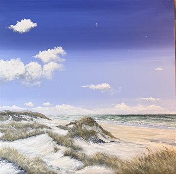 De store klitter i Gl. Skagen - Gitte Toft